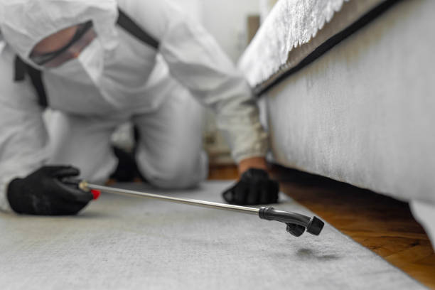 Professional Bed Bug Control technician working in Baton Rouge, LA