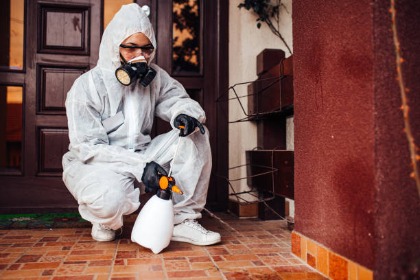 Reliable Bed Bug Control contractor in Baton Rouge, LA by Nex Pest Control