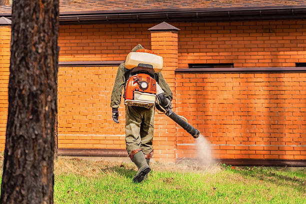 Trusted Ant Control service in Baton Rouge, LA - Nex Pest Control